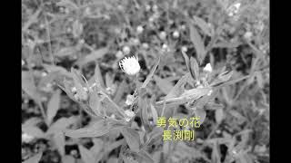 勇気の花／長渕剛／cover／A・ギター弾き語り／