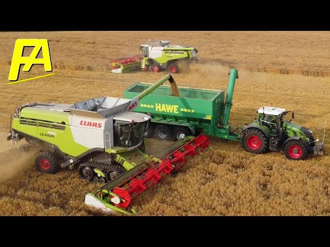 🚜 CLAAS LEXION 760 Gerste dreschen an der Ostsee in Norddeutschland Erntestart 2021 1 #FENDT #CLAAS