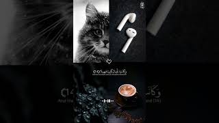 راحه لقلبك #حمزة_بوديب