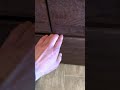 IMG 3882