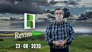 Miniatura do vídeo