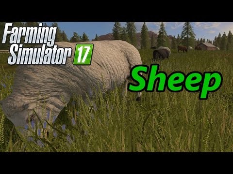 Farming Simulator 17 Tutorial | Sheep