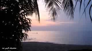 كلمات اغنية نالت على يدها ابتسام لطفي