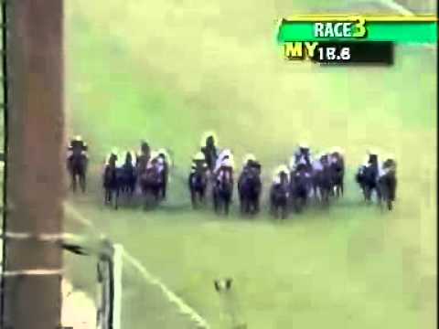 20110226 IPOH NSF NOVICE STAKES 1100M (STR) - MOVING FORWARD (K Eirwan)