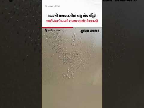 કચ્છની યશકલગીમાં વધુ એક પીંછું! 'છારી-ઢંઢ'ને મળ્યો રામસર સાઇટનો દરજ્જો