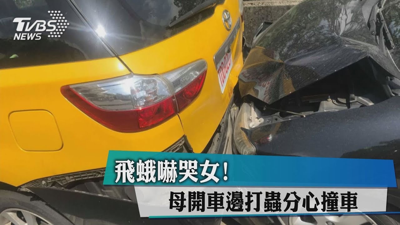 飛蛾嚇哭女! 母開車邊打蟲分心撞車