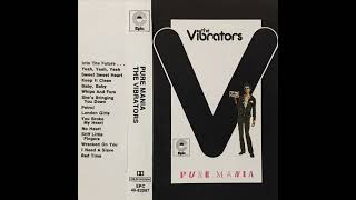 10 - THE VIBRATORS - You Broke My Heart (PURE MANIA, 1977)