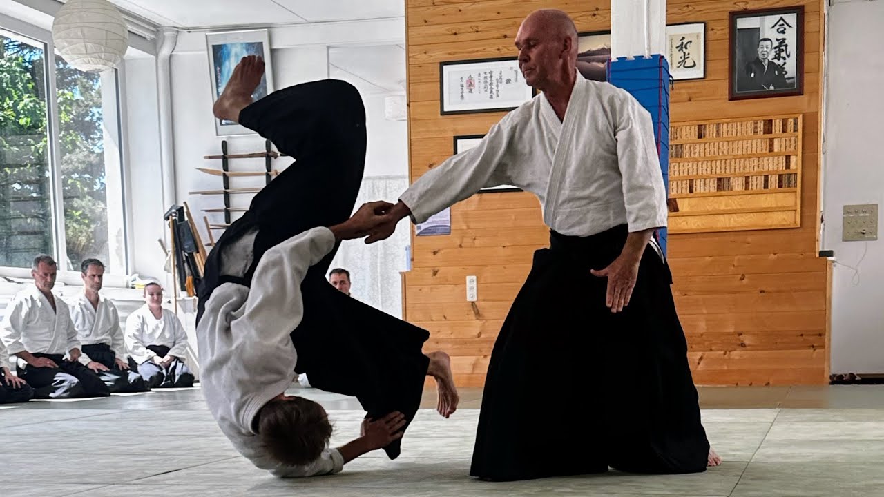 Taikikai YouTube video