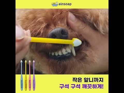 아인솝 강아지 & 고양이 세모칫솔