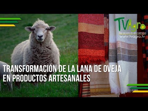 , title : 'Transformación de la Lana de Oveja en Productos Artesanales - TvAgro por Juan Gonzalo Angel'