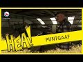 HEA!: Puntgaaf