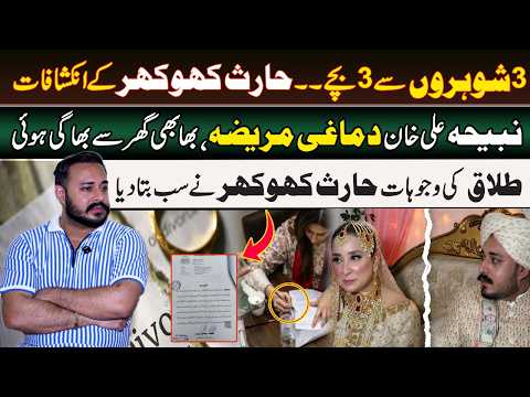 Haris Khokhar Exclusive Interview After Divorce With Nabiha Ali Khan | Divorce Reason | Daily Point