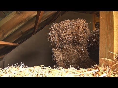Strawbale Vlog 86 - słomowanie vol 2