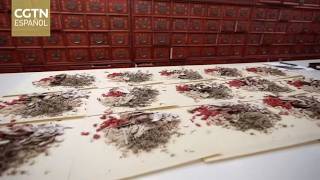 La Farmacia de Beijing abre un Museo de MTC interactivo