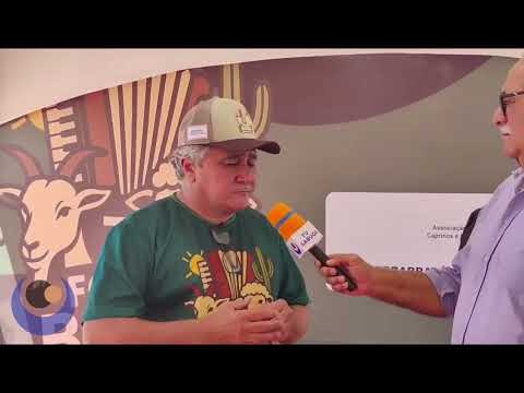 7º Forró Bode em Santa Luzia/PB - 2025