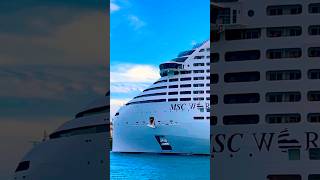 MSC World America 🛳️⚓️ #yt #share #subscribe #shortvideo #shortsvideo #shorts #youtube #travel #fun