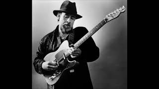 Roy Buchanan ‎– Fly... Night Bird
