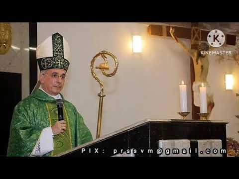 15º DOMINGO DO TEMPO COMUM, A - Dom Henrique Soares