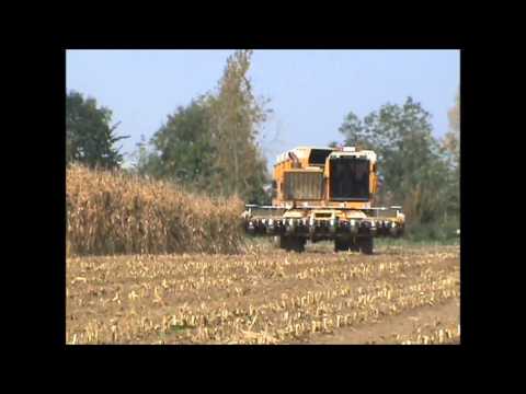 Loonw. Agriservice - Molenbaix