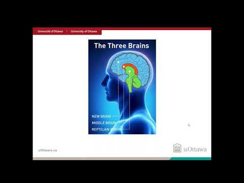 W30 - E Webinar: Why ACEs Impact Neurological Development?