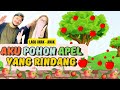 LAGU ANAK AKU POHON APEL YANG RINDANG Syaki Kisya