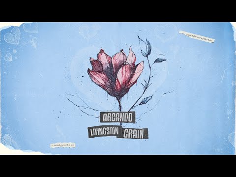 Arcando - Mr. Brightside (with Livingston Crain)