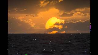 Wechsel Garland - Mutes (DJ Koze's Broken CD-Mix)