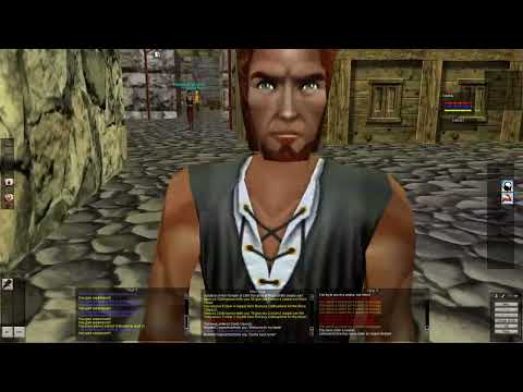 SSF Perma-Death run Human Druid Everquest p1999