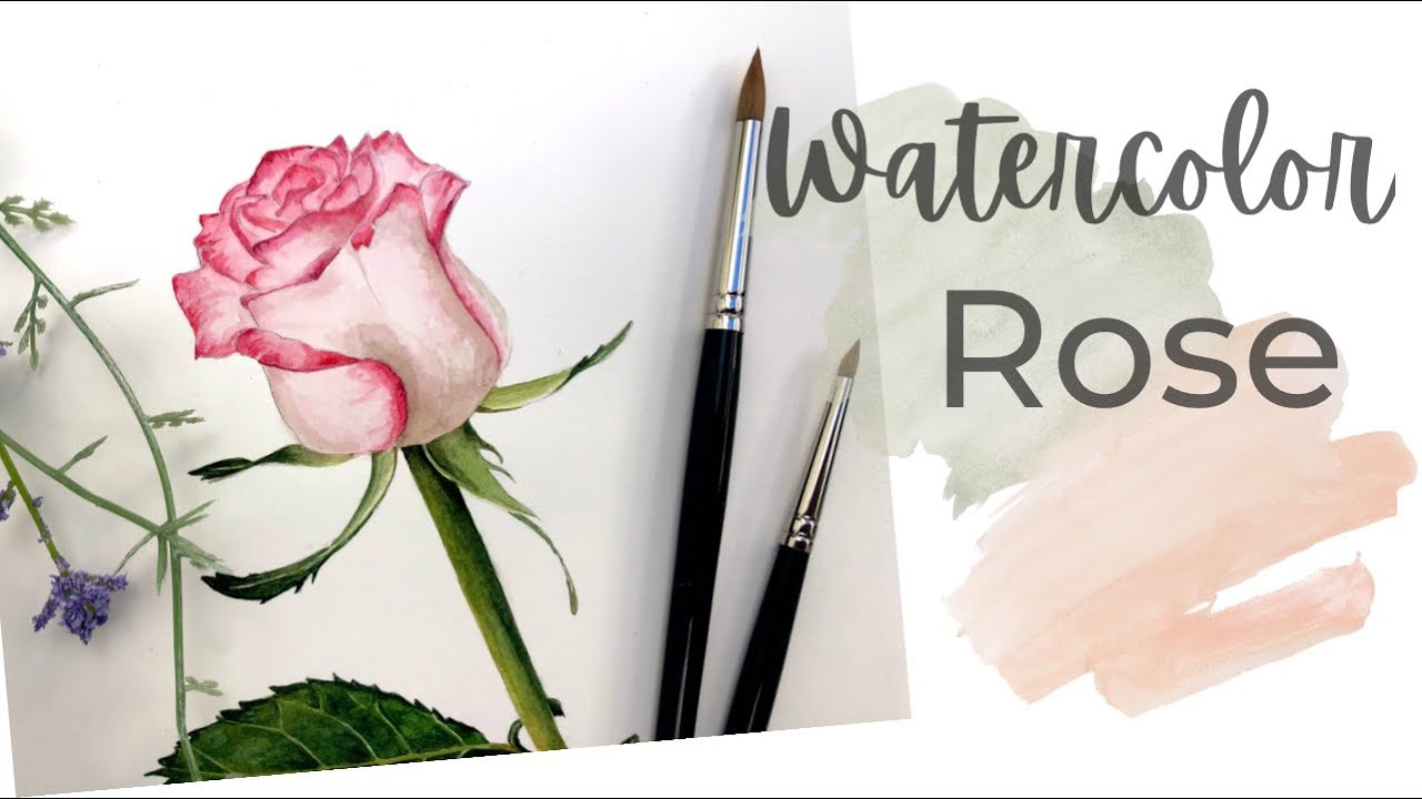 WATERCOLOR ROSE TUTORIAL - botanical art