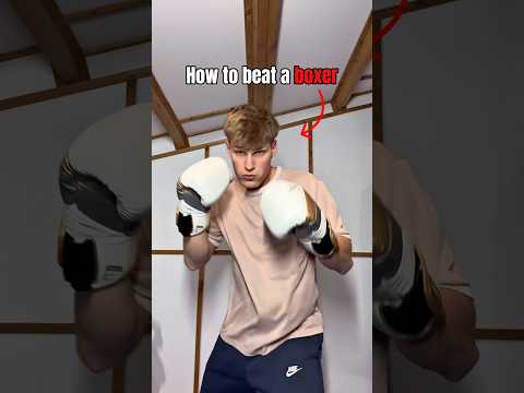 How to beat a BOXER…