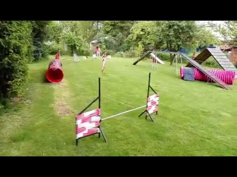 Agility trénink (duben 2016) - Kailyn Fida Marestel