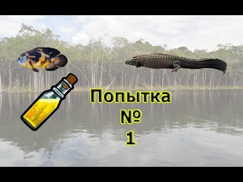 Русская Рыбалка 3.99 Пирарара. Попытка поймать №1