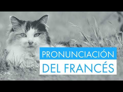 Practica la pronunciación del francés con frases útiles y fáciles