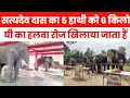 After all, why is there so much discussion about Satyadev Das and his elephants in Gopalganj district? Know the reason.