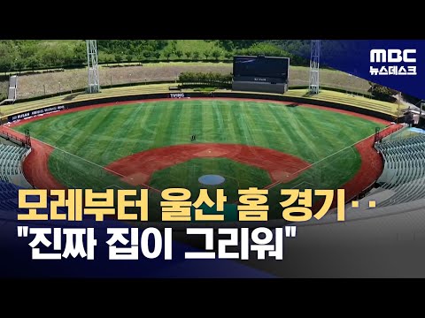 NC, 롯데 간판 달고 울산에서 홈경기...'창원 복귀는 언제?'