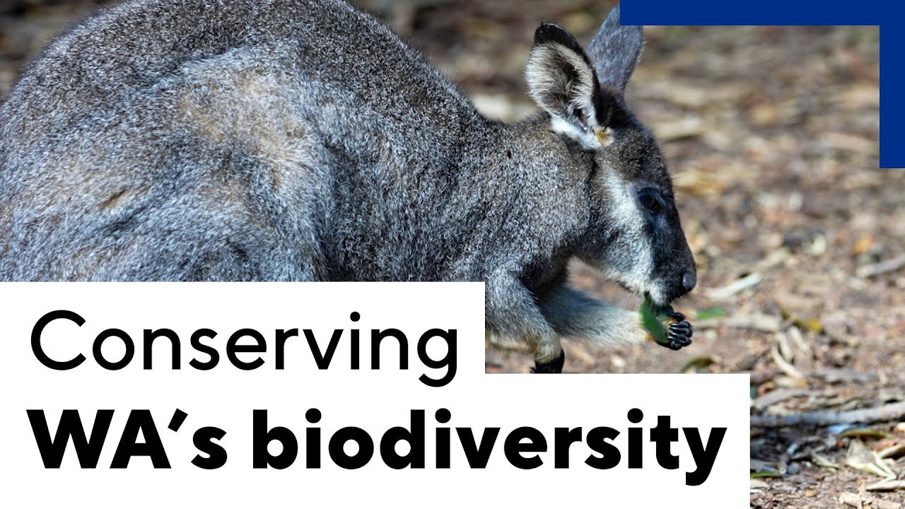 A boost to conserving WA biodiversity