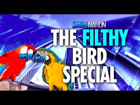 Polly Want A Cuss Word? Cursing Parrots Liven Up The Zoo!