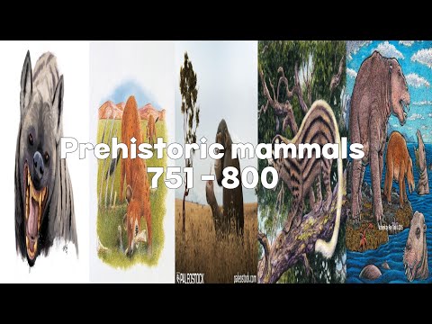 Prehistoric mammals 751 - 800 [16/24]