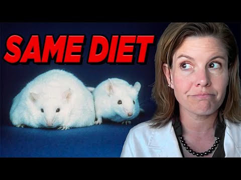 The hidden hormone behind insulin resistance nobody talks about The hidden hormone behind insulin resistance nobody talks about