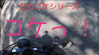 立ちごけシリーズ　その１