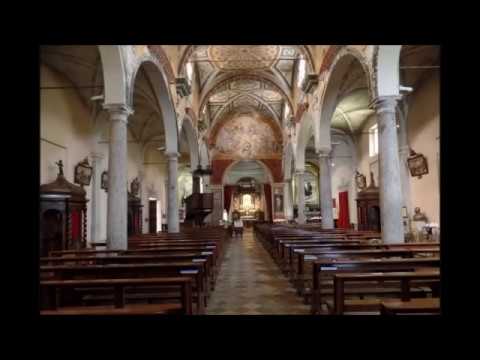Messa tradizionale cantata - VIII domenica dopo Pentecoste