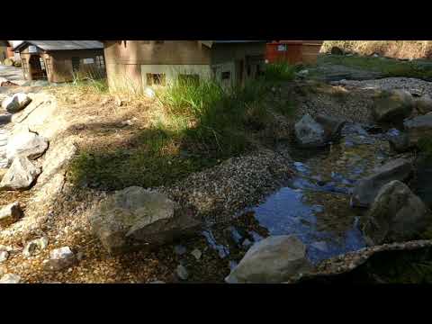 s'Wälder Bähnle - 2 Schritt. Reaktivierung des Wasserlauf / 2 step. Reactivation of the watercourse