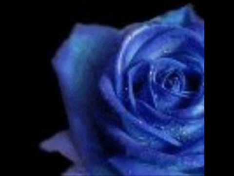 Walter Jackson   I Won't Remember Ever Loving You