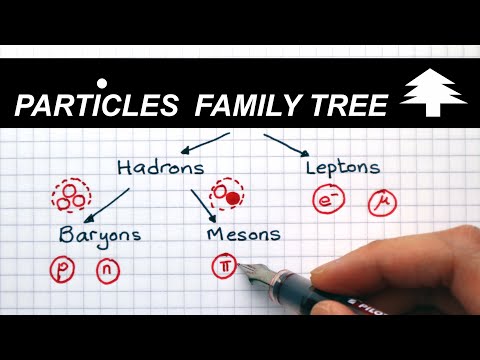 Classification of Particles - A Level Physics