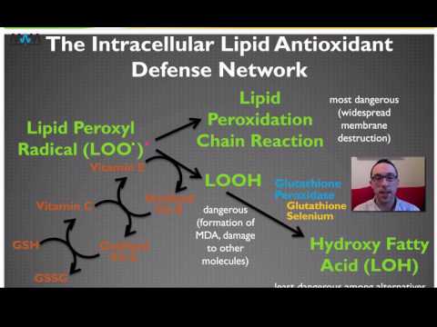 Introduction to the Antioxidant System | Masterclass With Masterjohn 1.3