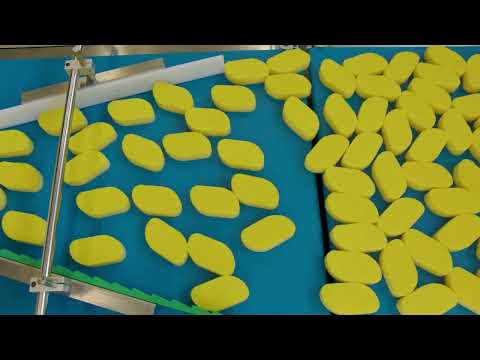 RAVI produkcja gąbek