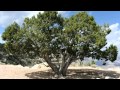 I Want To Go Home By Michael Buble Produced by ...