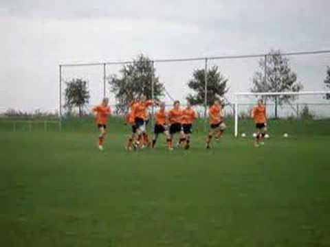 Oudehaske B1 - Oeverzwaluwen B1