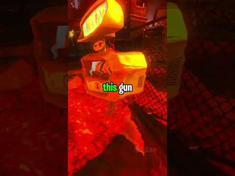 Did You Know This About TranZit?