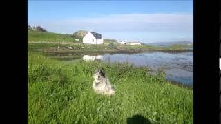 Ò Fhluir na h-Albann O Flower of Scotland sung by Fiona J Mackenzie